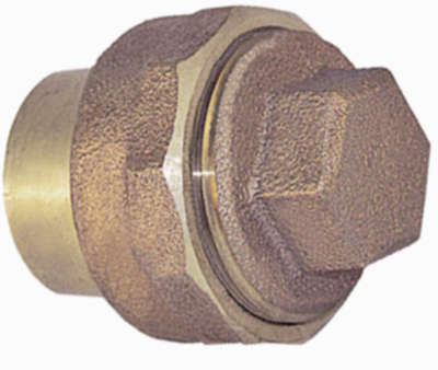 Fitting Cleanout with Plug